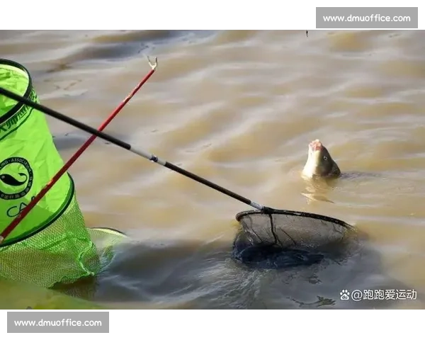 大爷钓起金黄大鱼，围观者哇声一片：这鱼值两万？